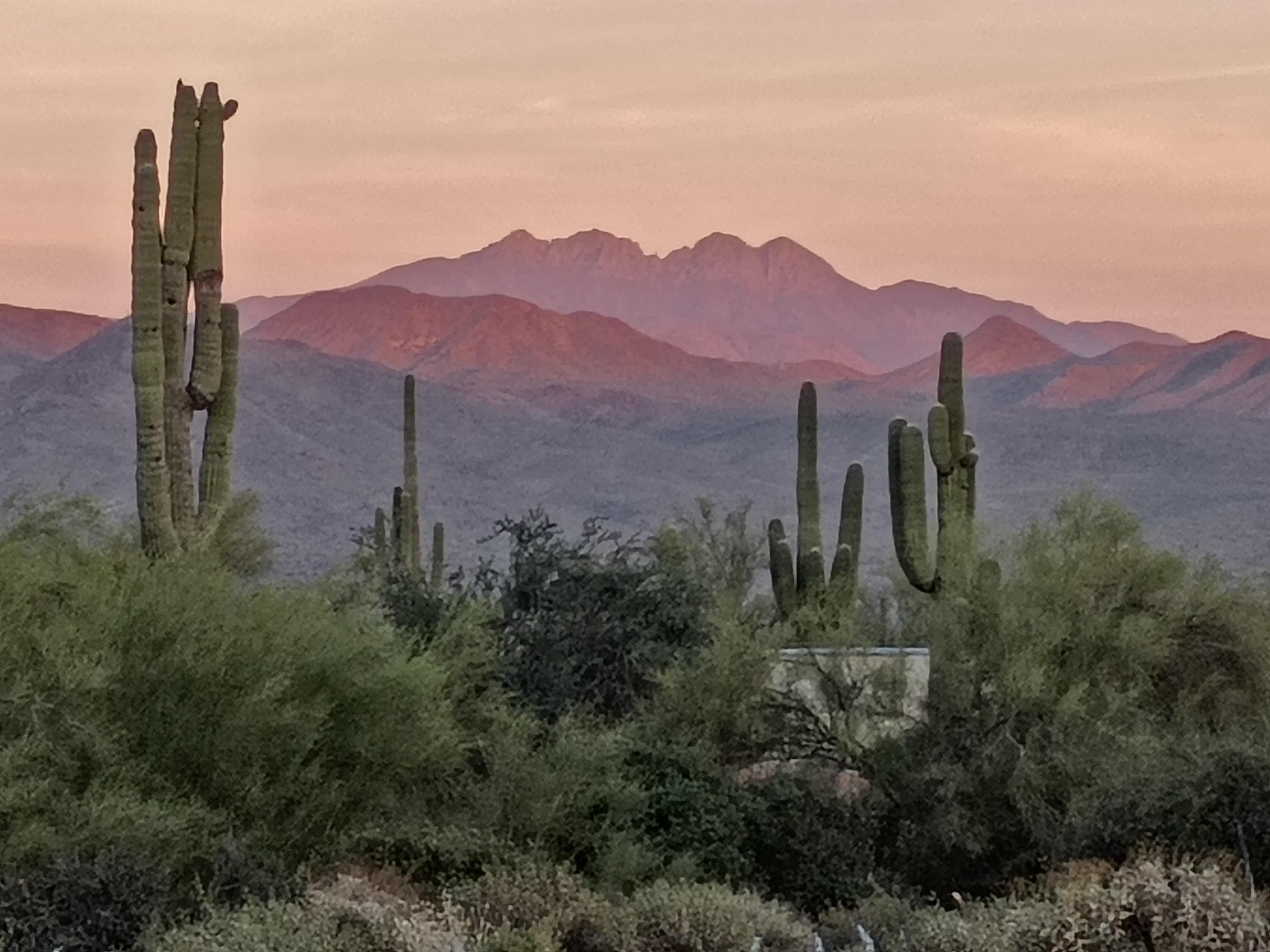 Amazing views from the property.