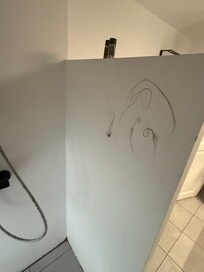 hair in the shower (not ours)