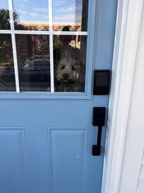 Our dog felt right at home!