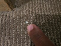 This nail was sticking out of the carpet and I stepped on it after coming out of the bath, thankfully I did not get cut but what was it even doing there. Quickly removed once front desk was informed though