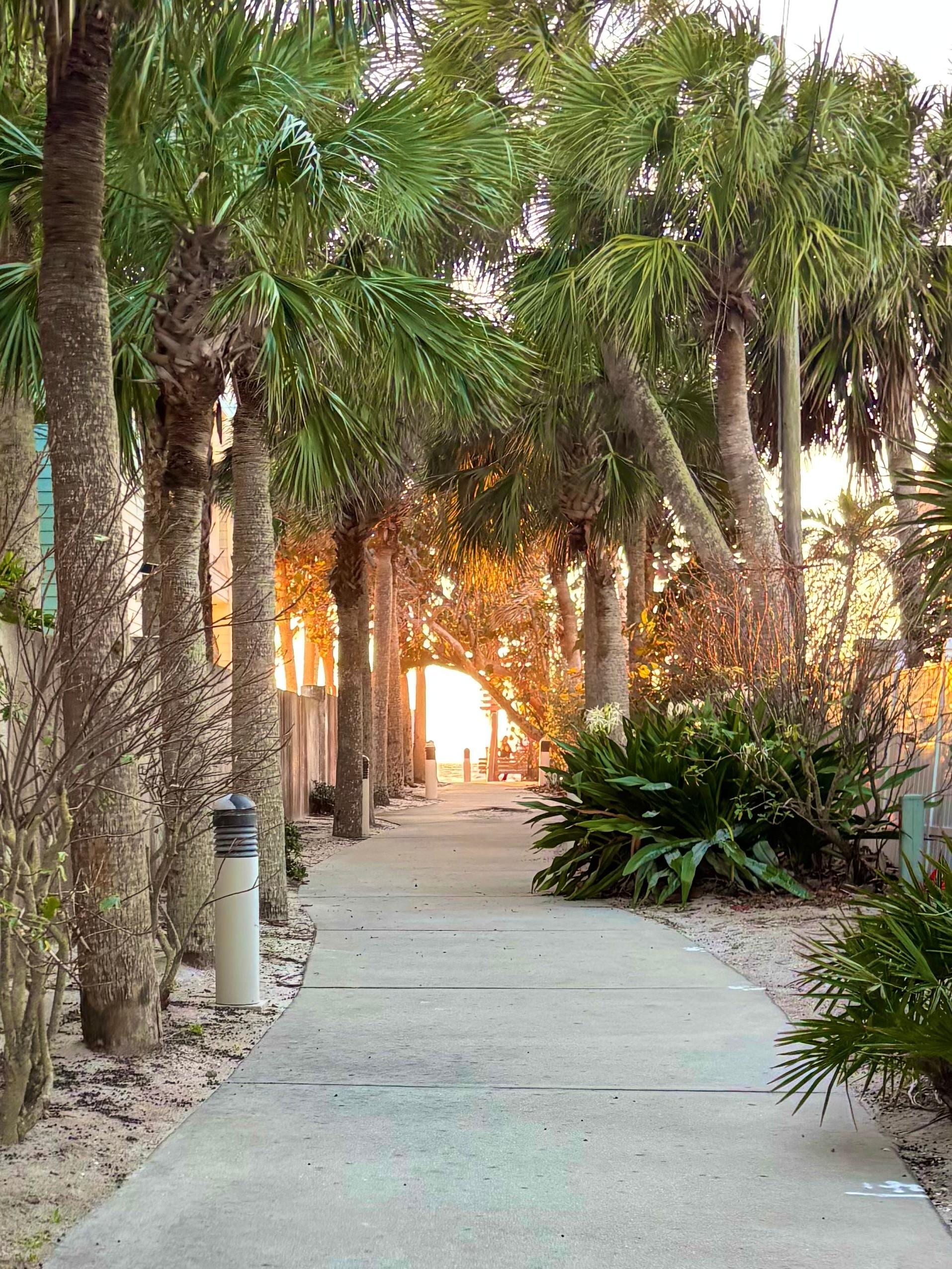 One of the beach access points a little further down the road 