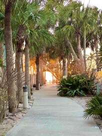 One of the beach access points a little further down the road