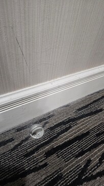 Layer of dust on the carpet.