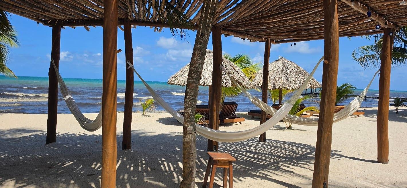 Hammocks on the beach