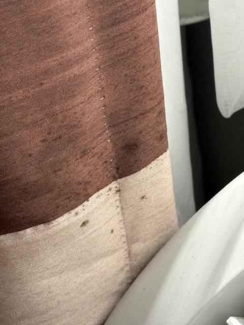 Moldy Curtains