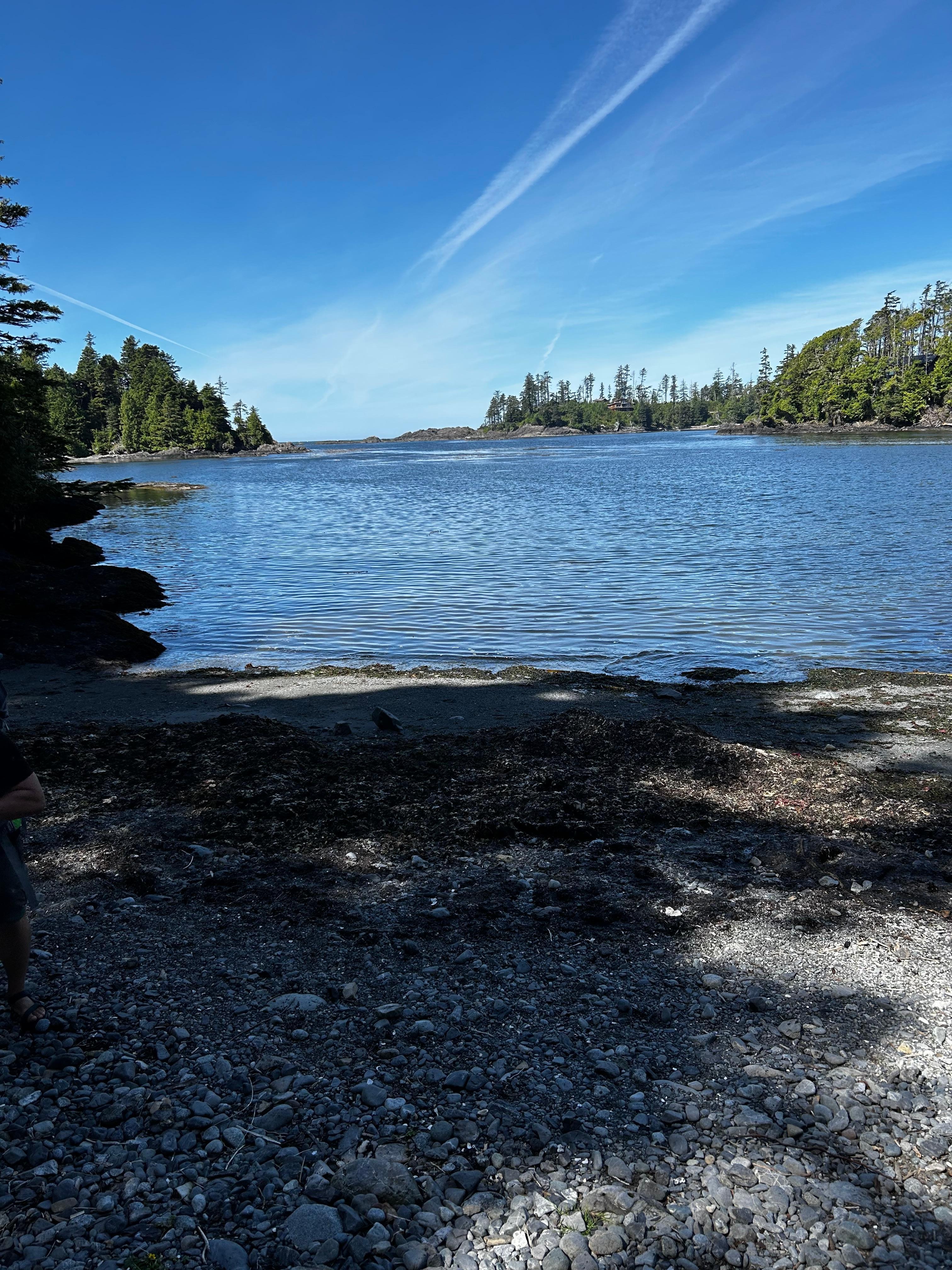 From the walking trail (next to the cabin).