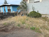 front yard needs maintenance