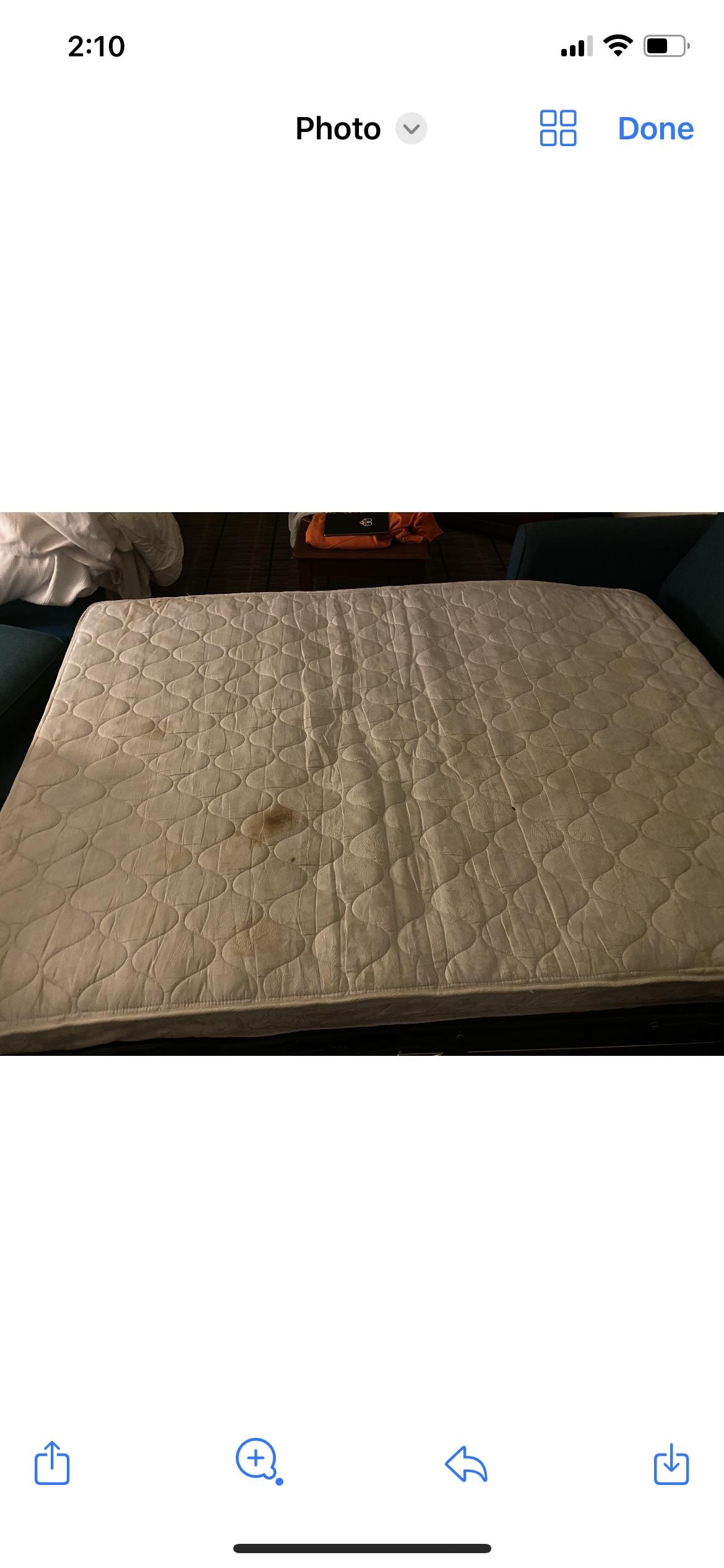 Pull out couch stained