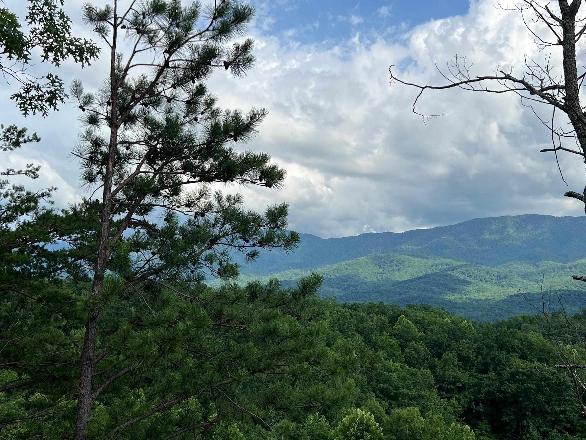 View from the cabin