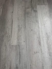 Dead roaches on the floor