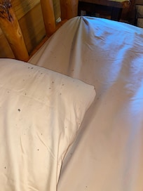 Day 1