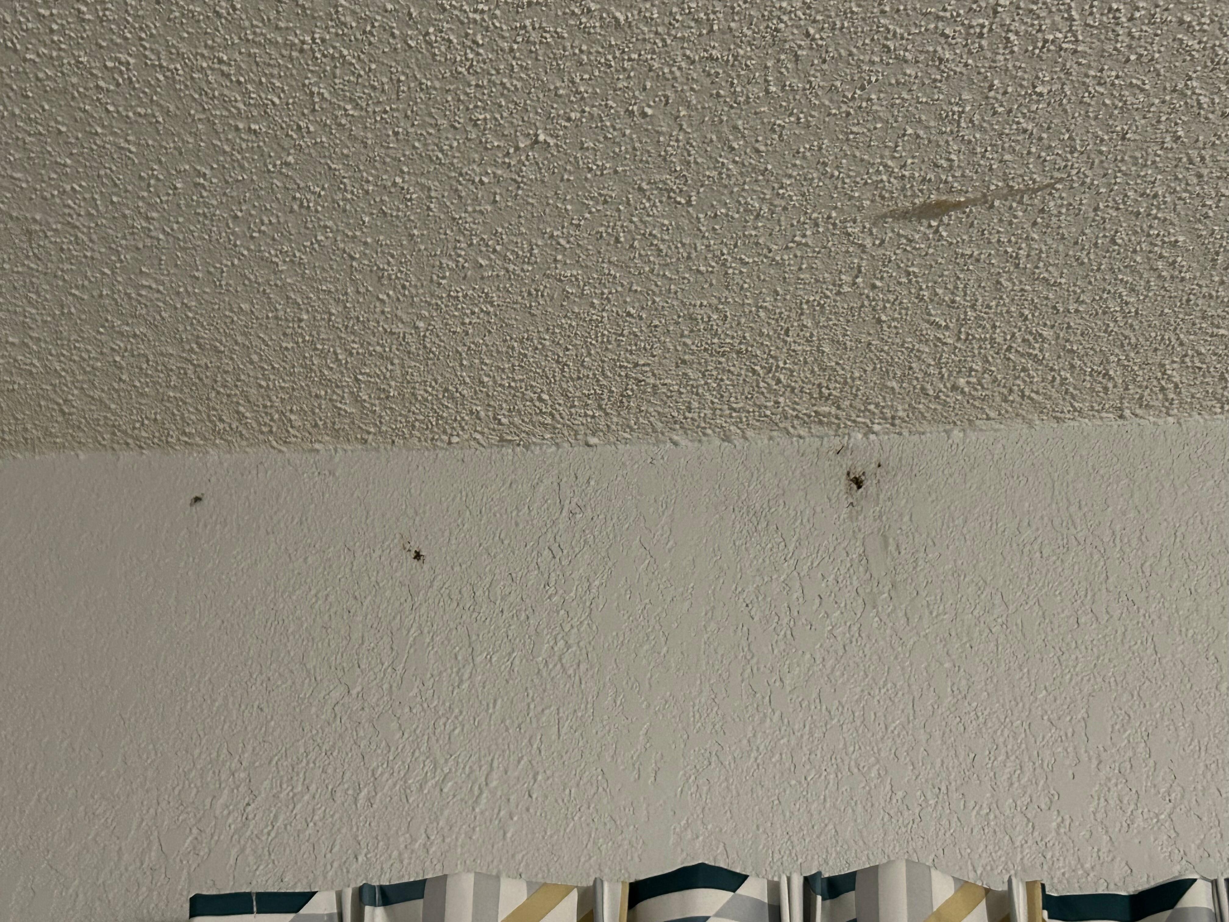 Cannot even imagine what this could be obviously was never cleaned