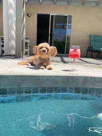 Our sweet Lulu loved her vacation too!