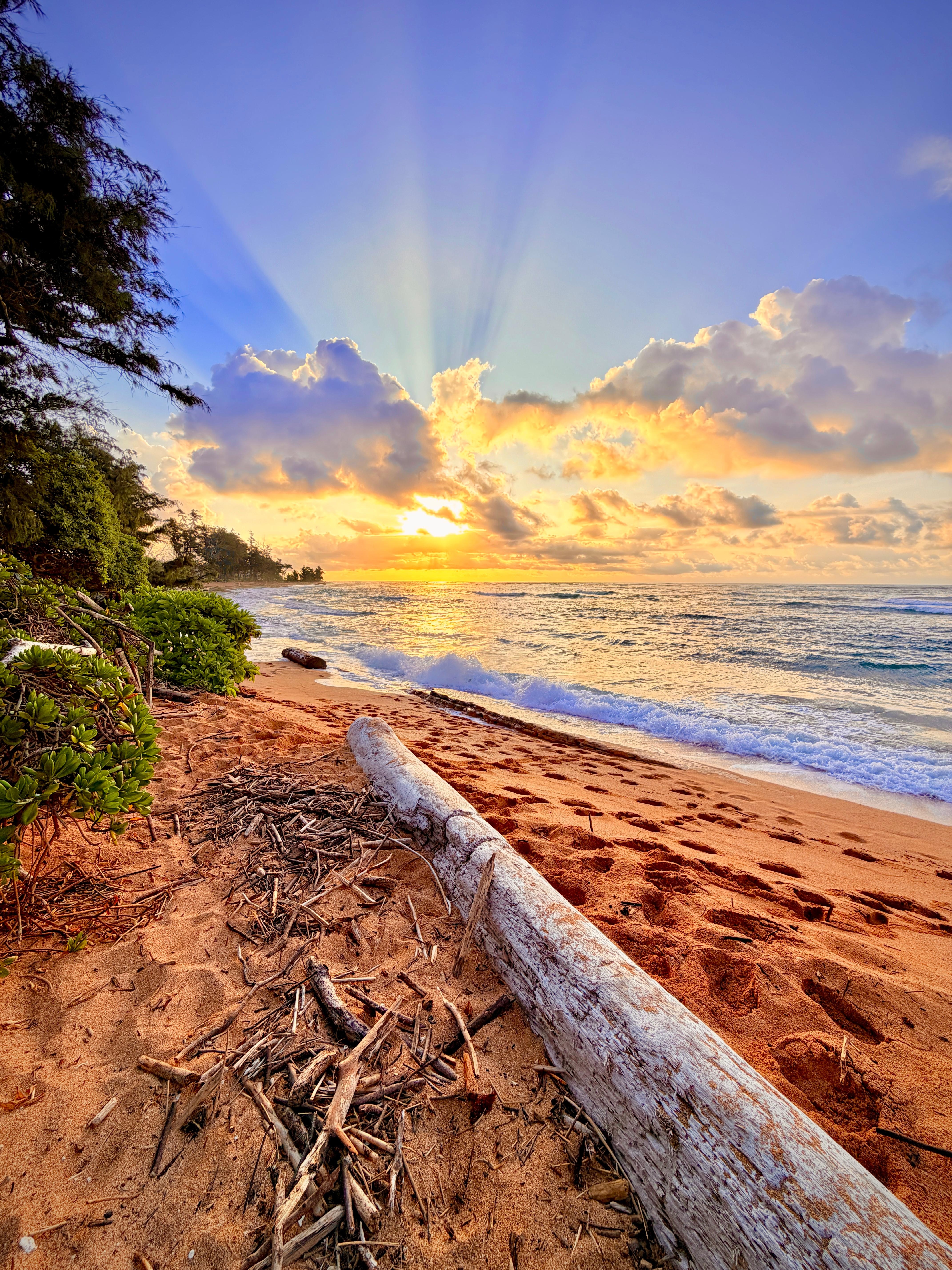 Beautiful sunrises yards away from your ground level lanai. 