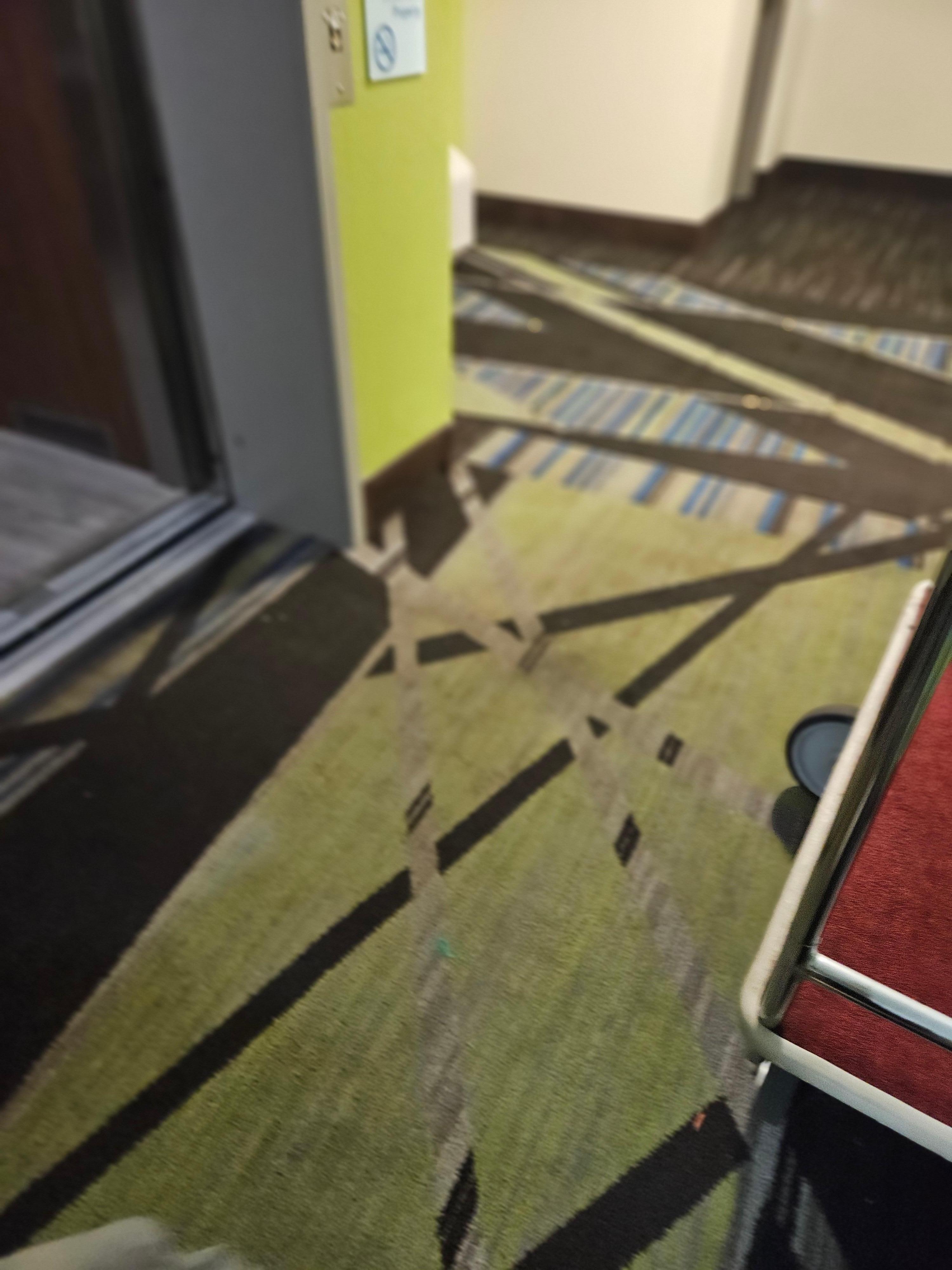 clearly dirty carpet everywhere 