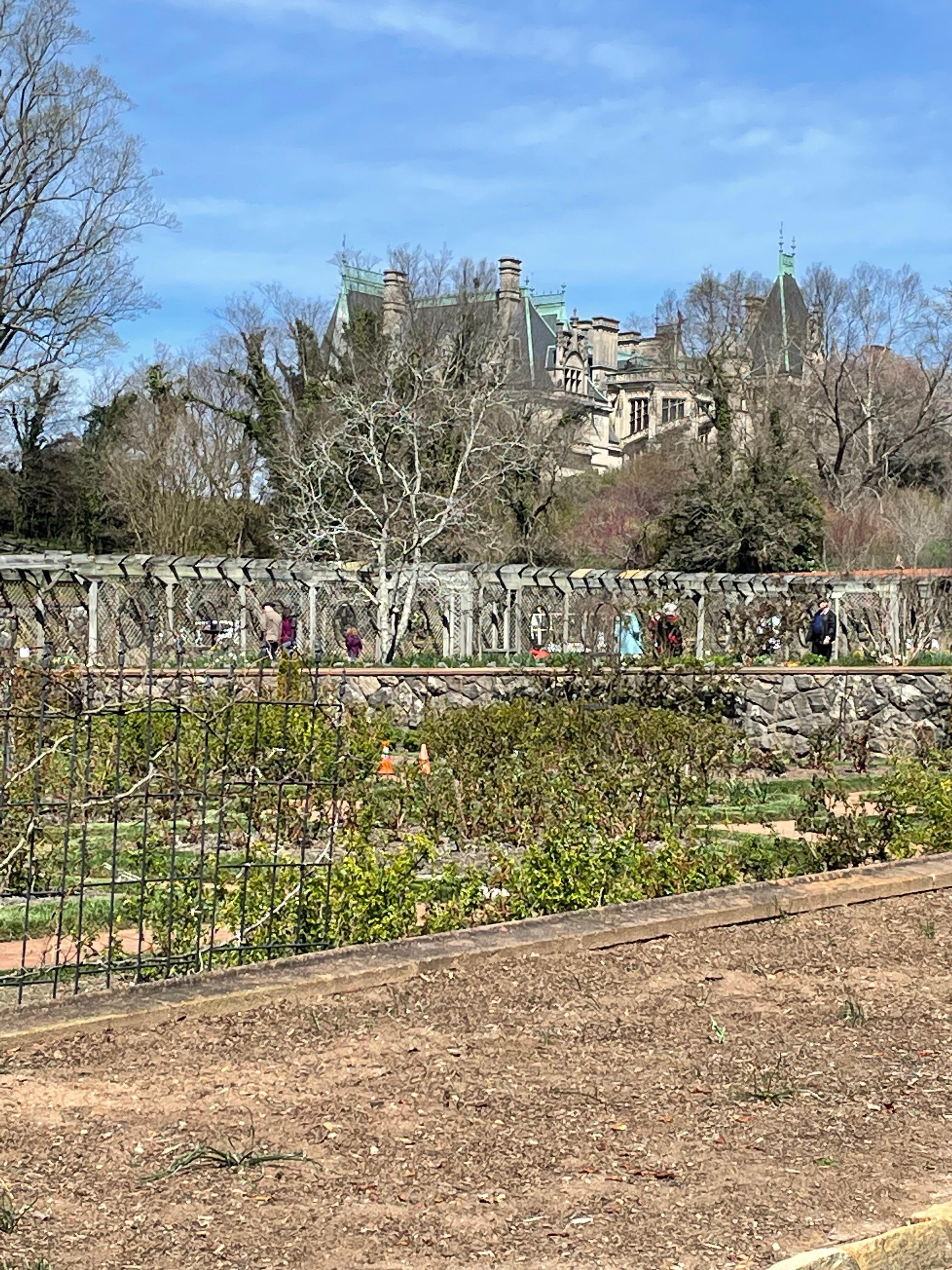 Biltmore Garden area