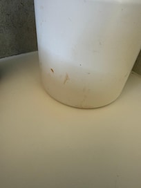 Urine stain