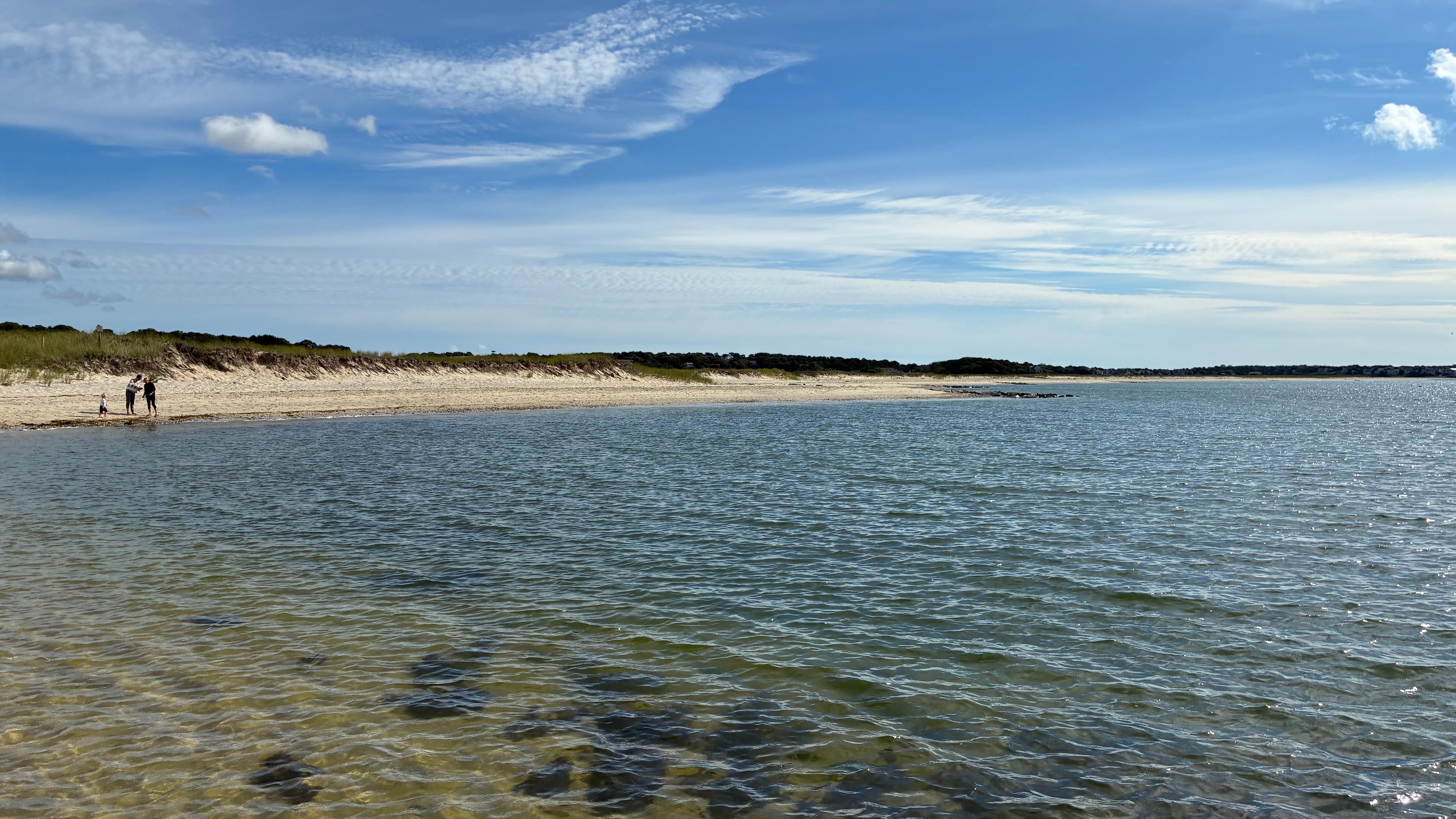 Forest Beach - neighborhood beach without a lifeguard