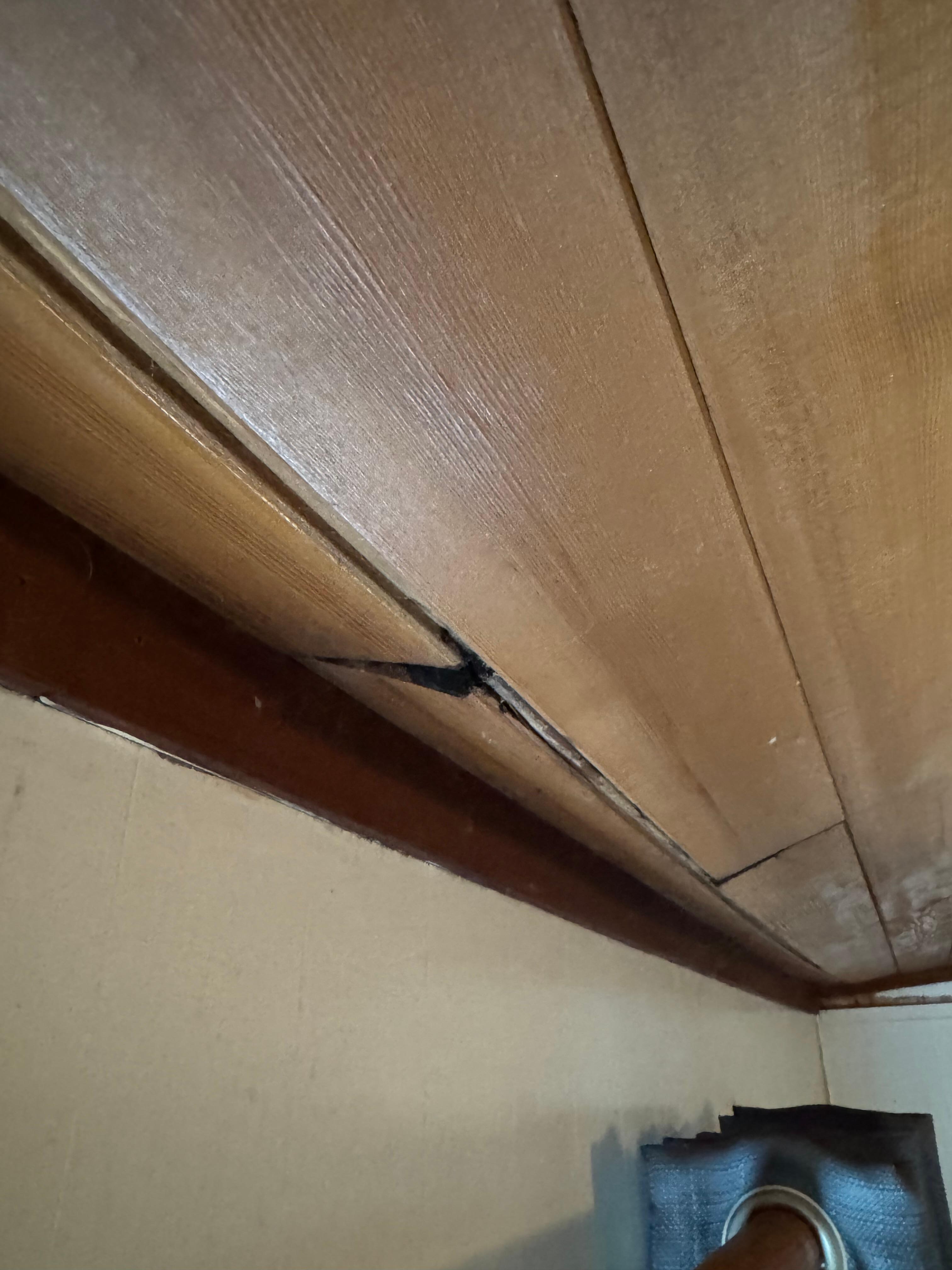 Ceiling leak