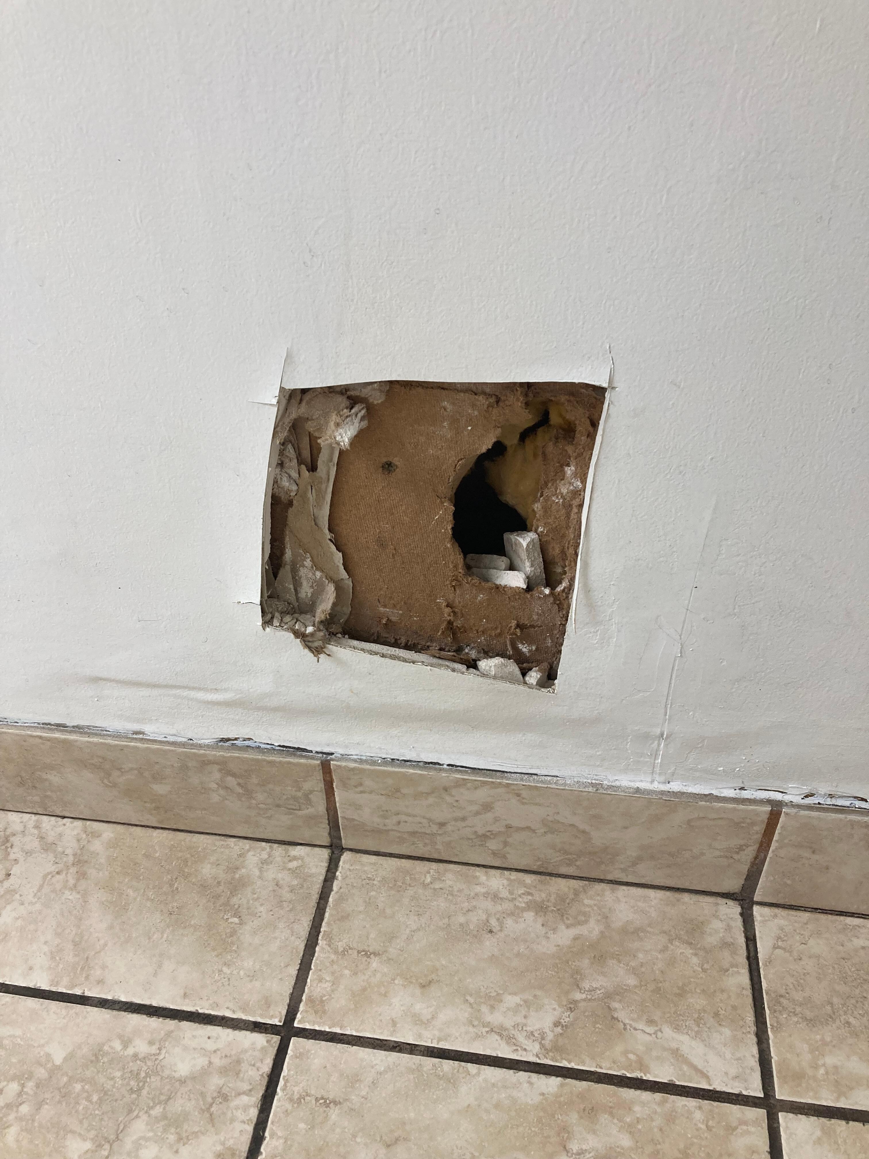 One of the many holes in a wall I found. That hole is big enough for a raccoon. 