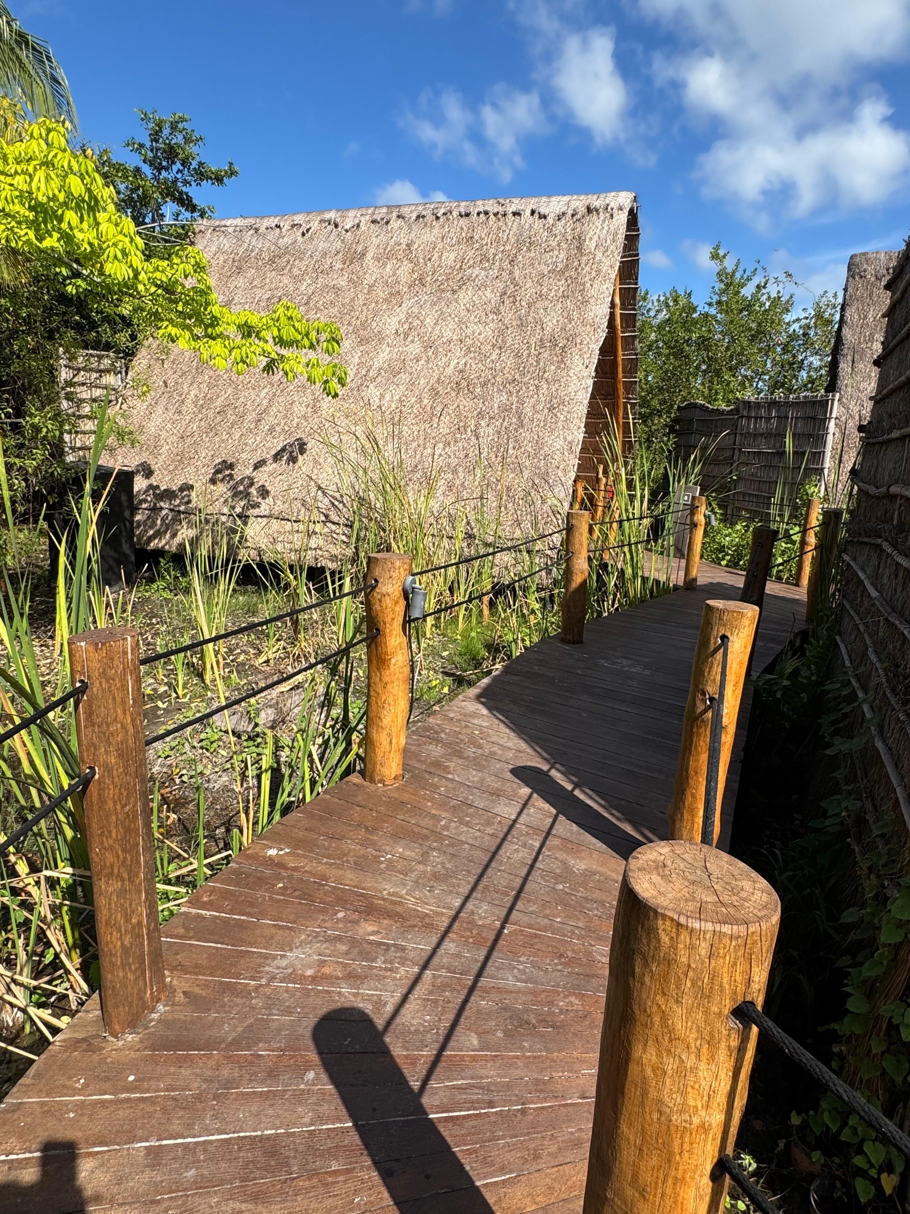 Walkway to cabin