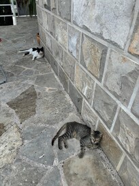 Keith and Beryl 🐈⬛