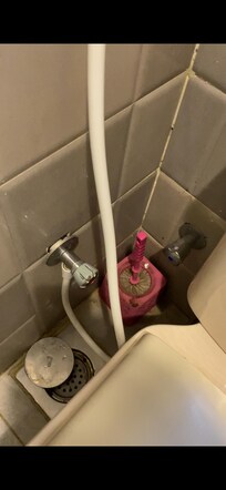 Widerliche Klobürste