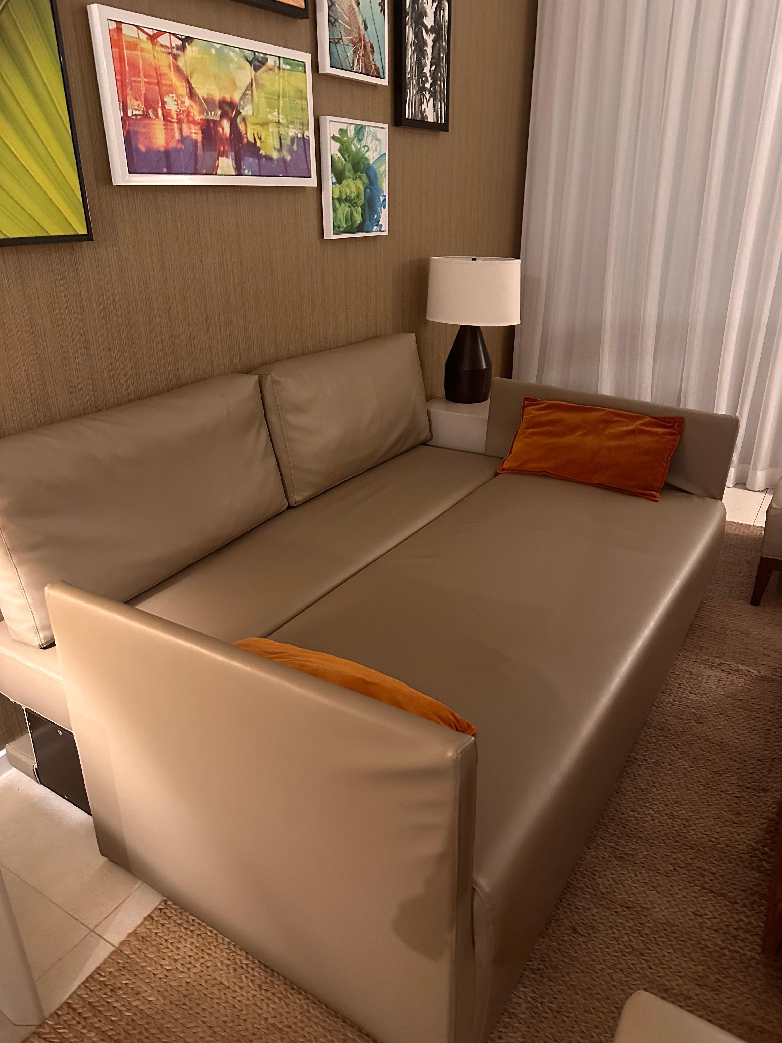 The couch what was supposed to be a bed for two adults no bedding nothing it was presented like that 