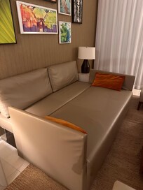 The couch what was supposed to be a bed for two adults no bedding nothing it was presented like that