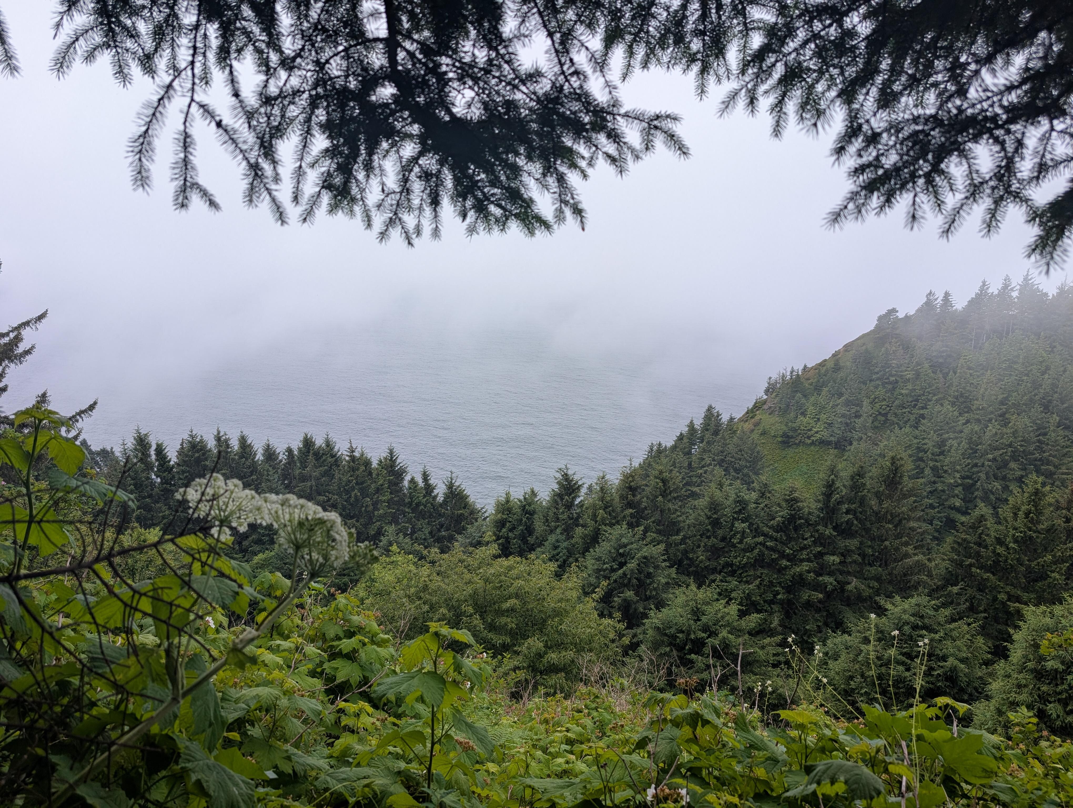 Oregon Coast Trails