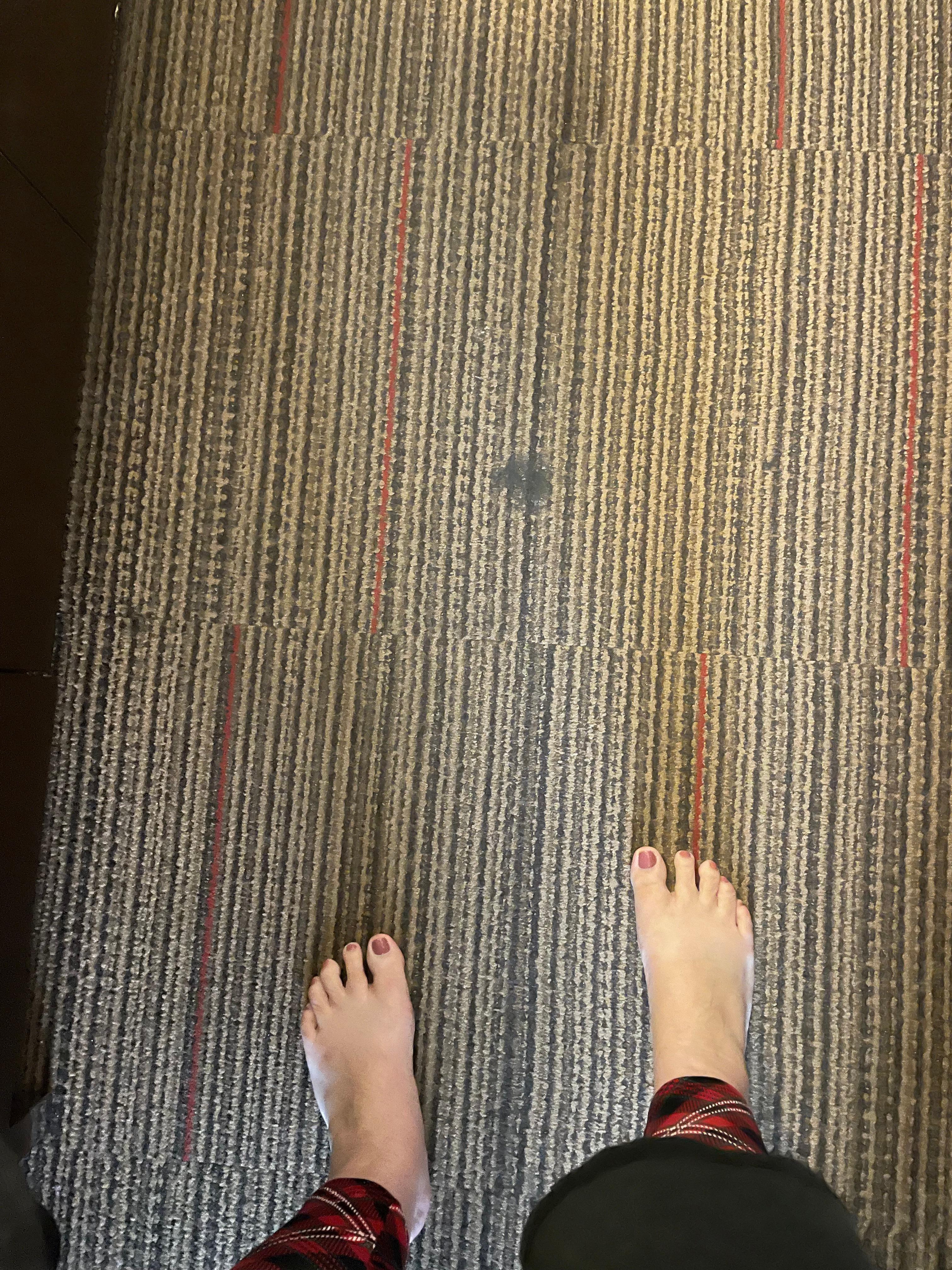 Stains on the carpet 