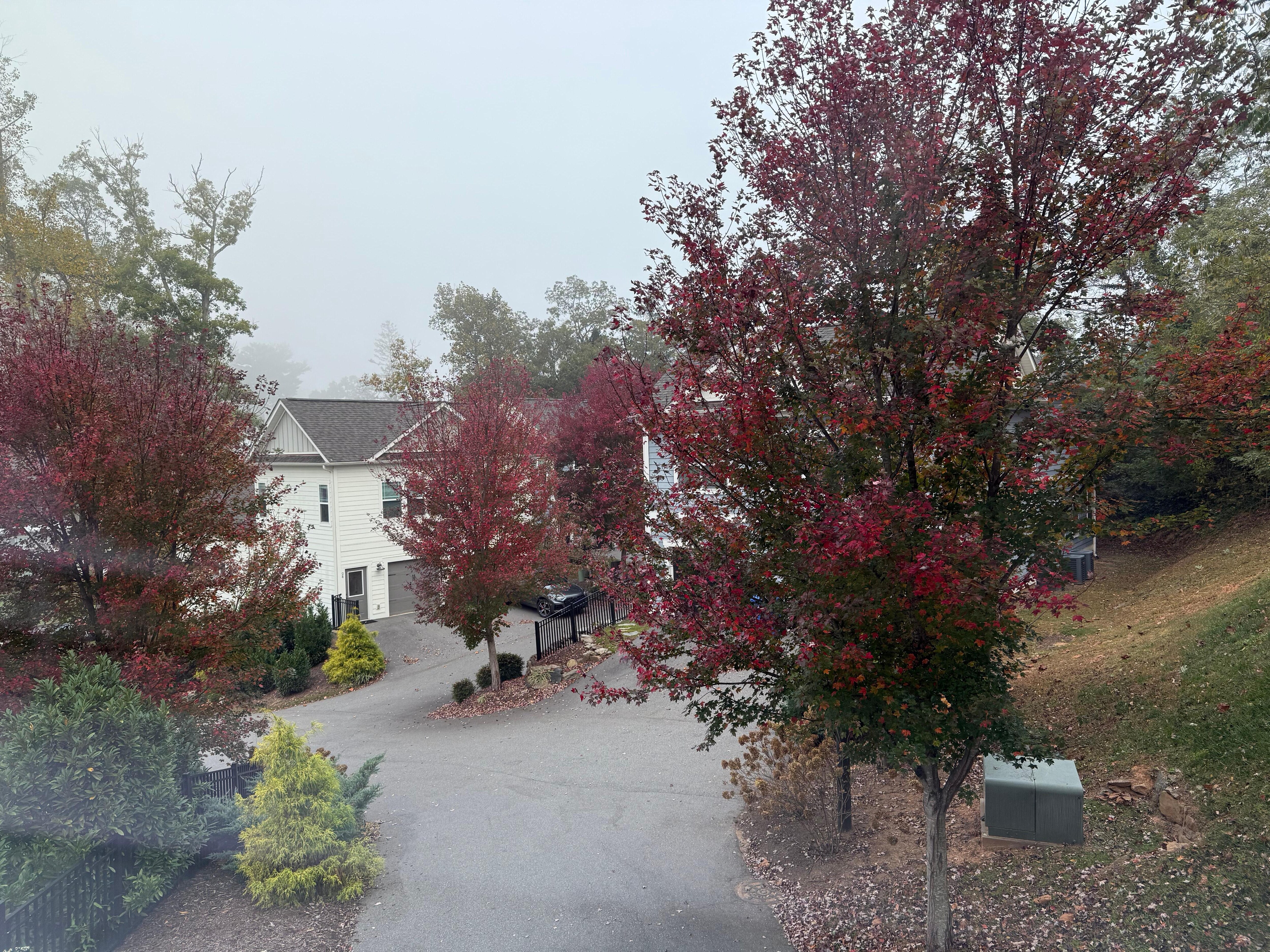 View from the front window 