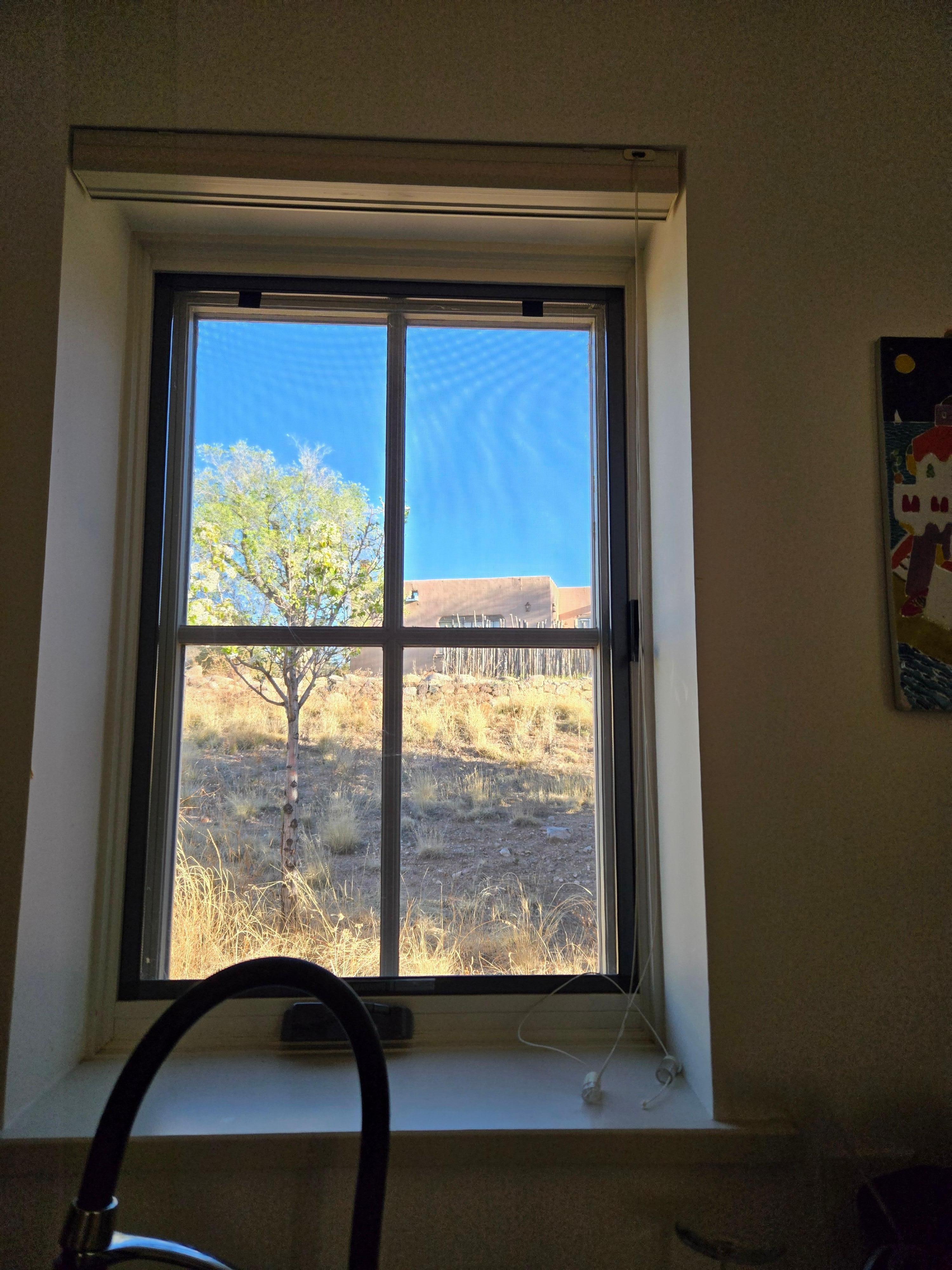 View from the kitchen window