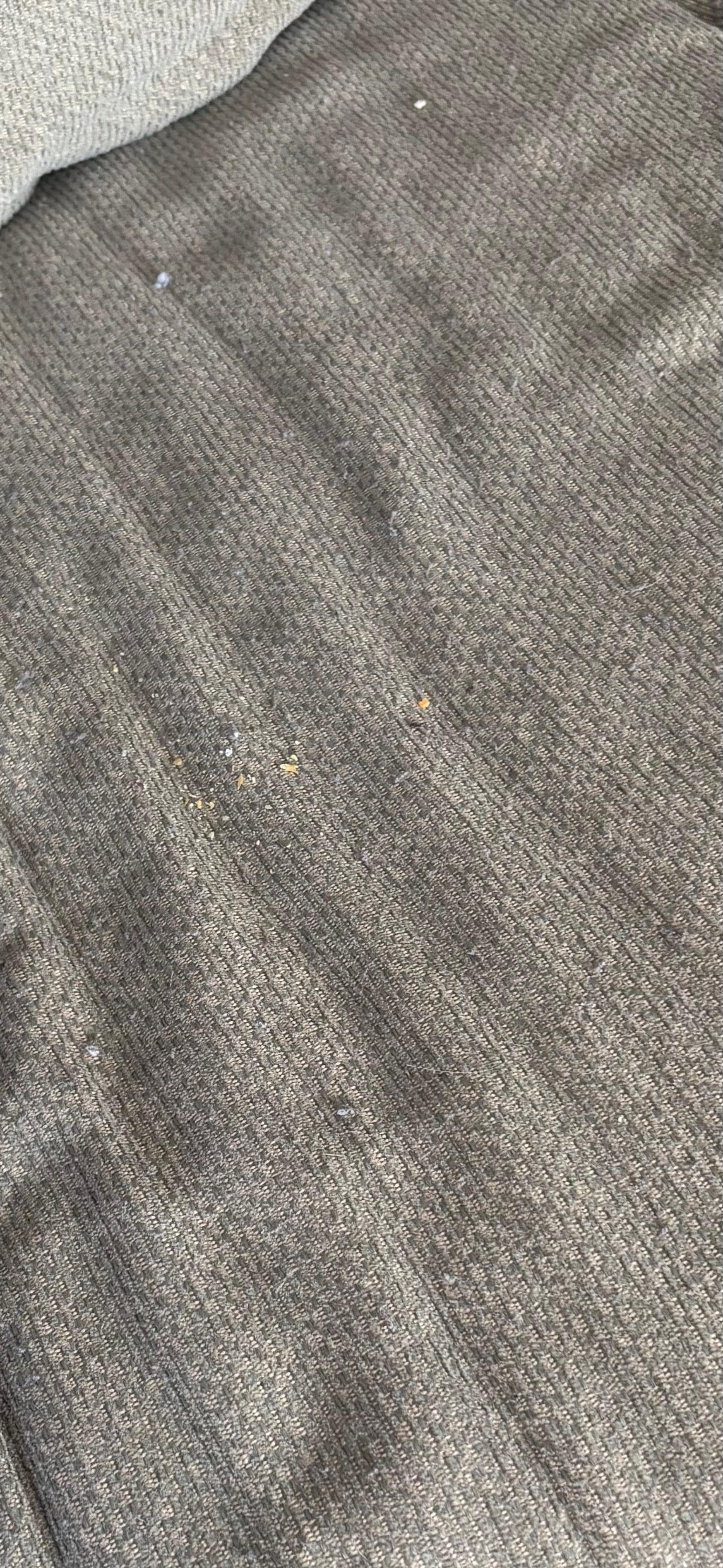 Crumbs on sofa