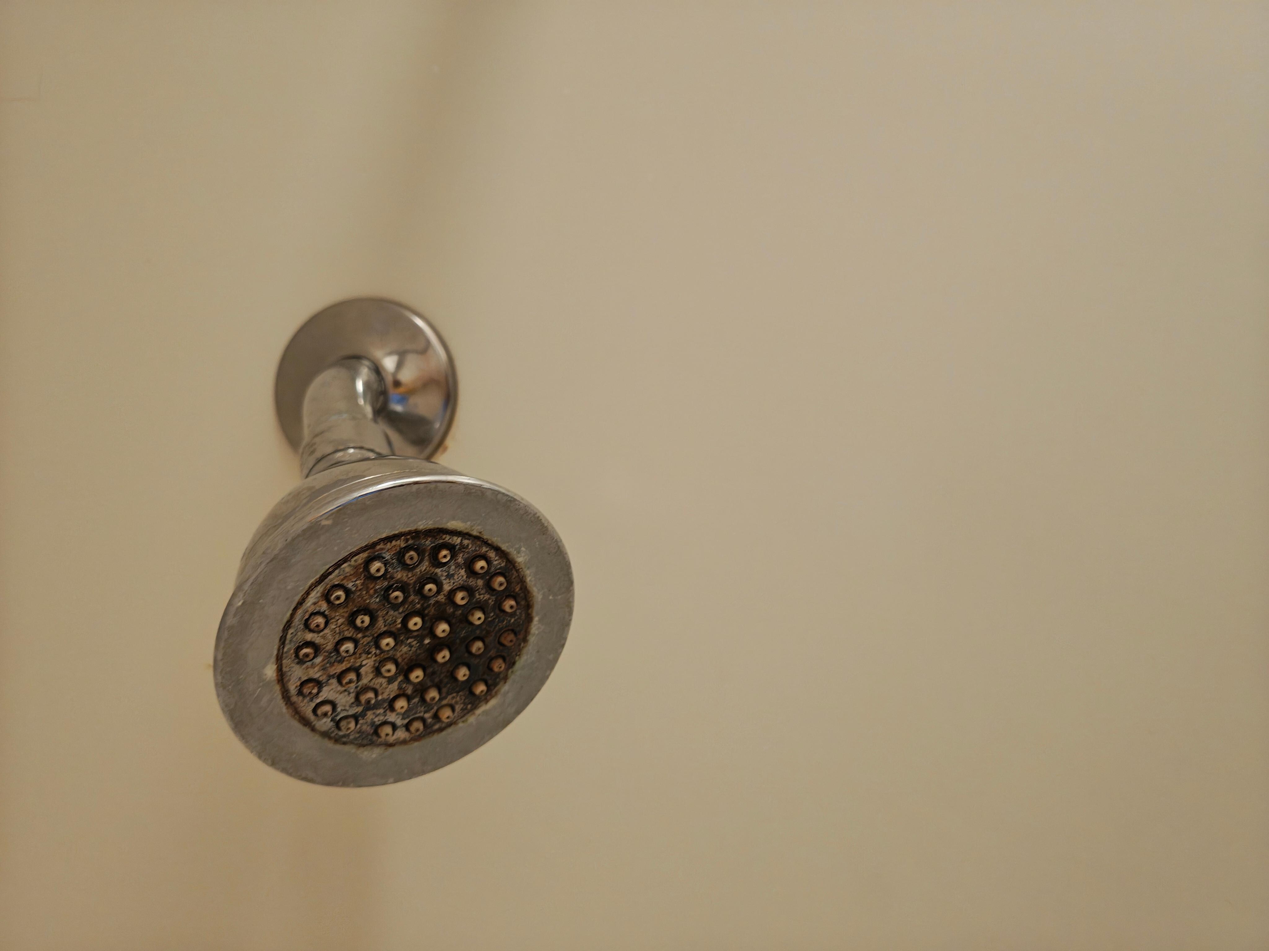 Shower head dirty 