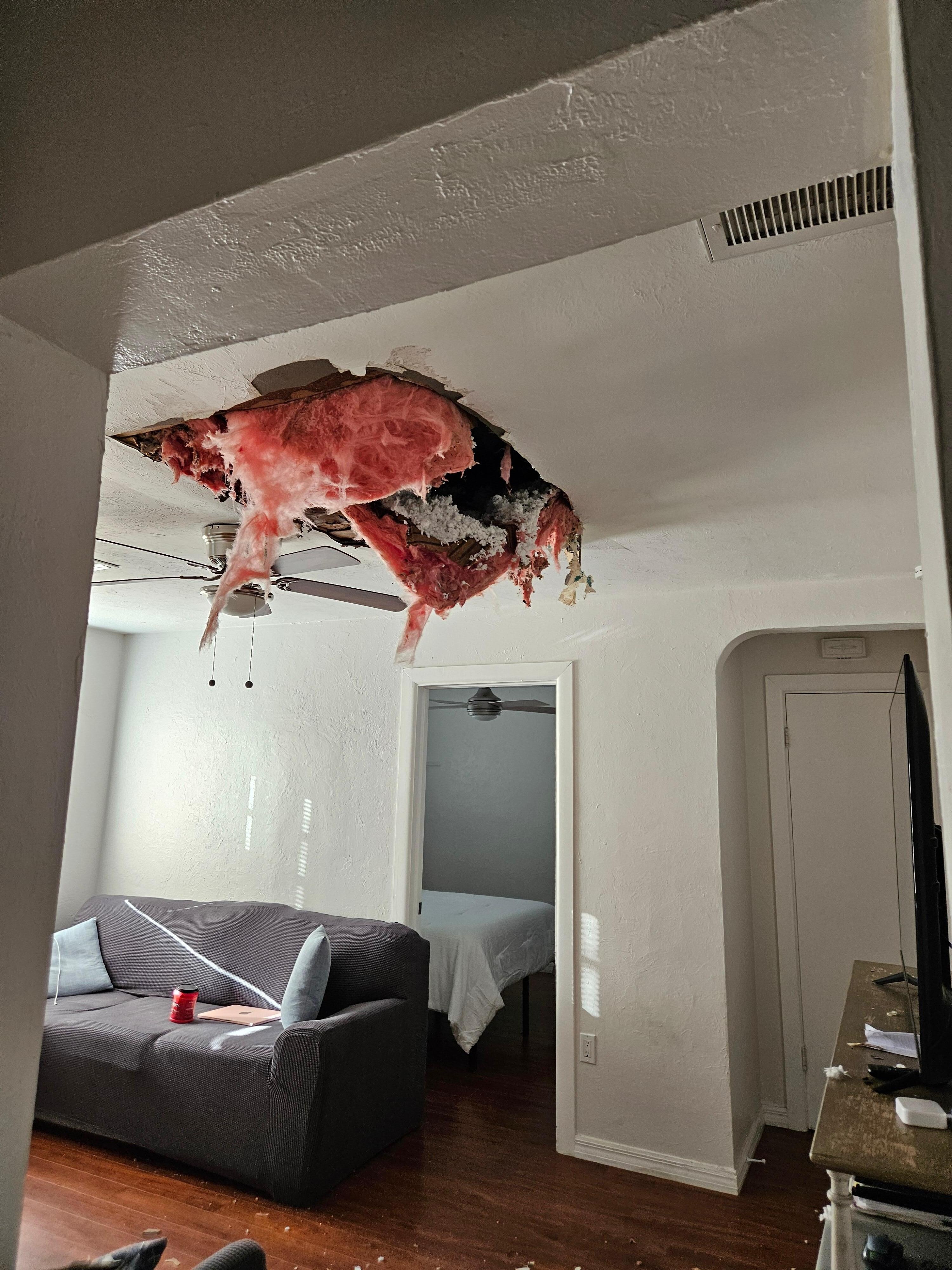 Then i looked up! While owners returned another large section collapsed! By that time i had returned to the back of the house to get out of the way, the repairman arrived., We moved out to the new location.