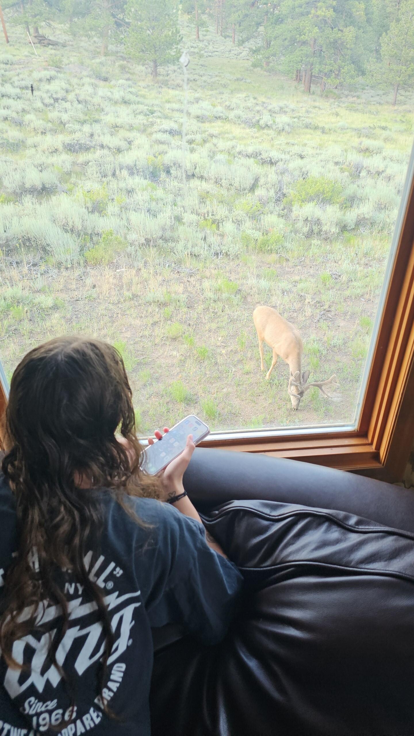 Buck right outside window