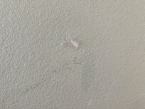 Tape on the wall.