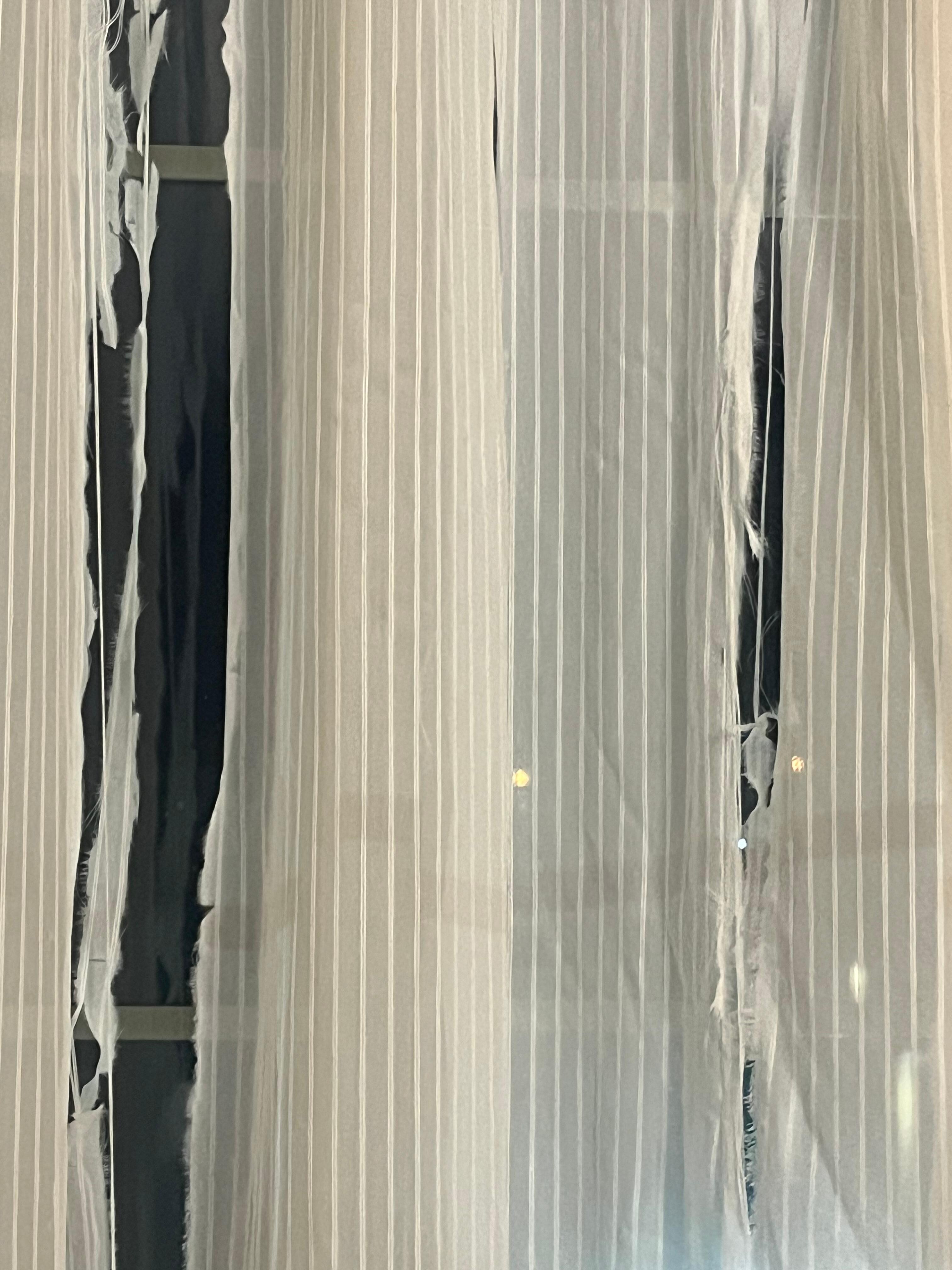 Curtains ripped to shreds. What was going on in this room?