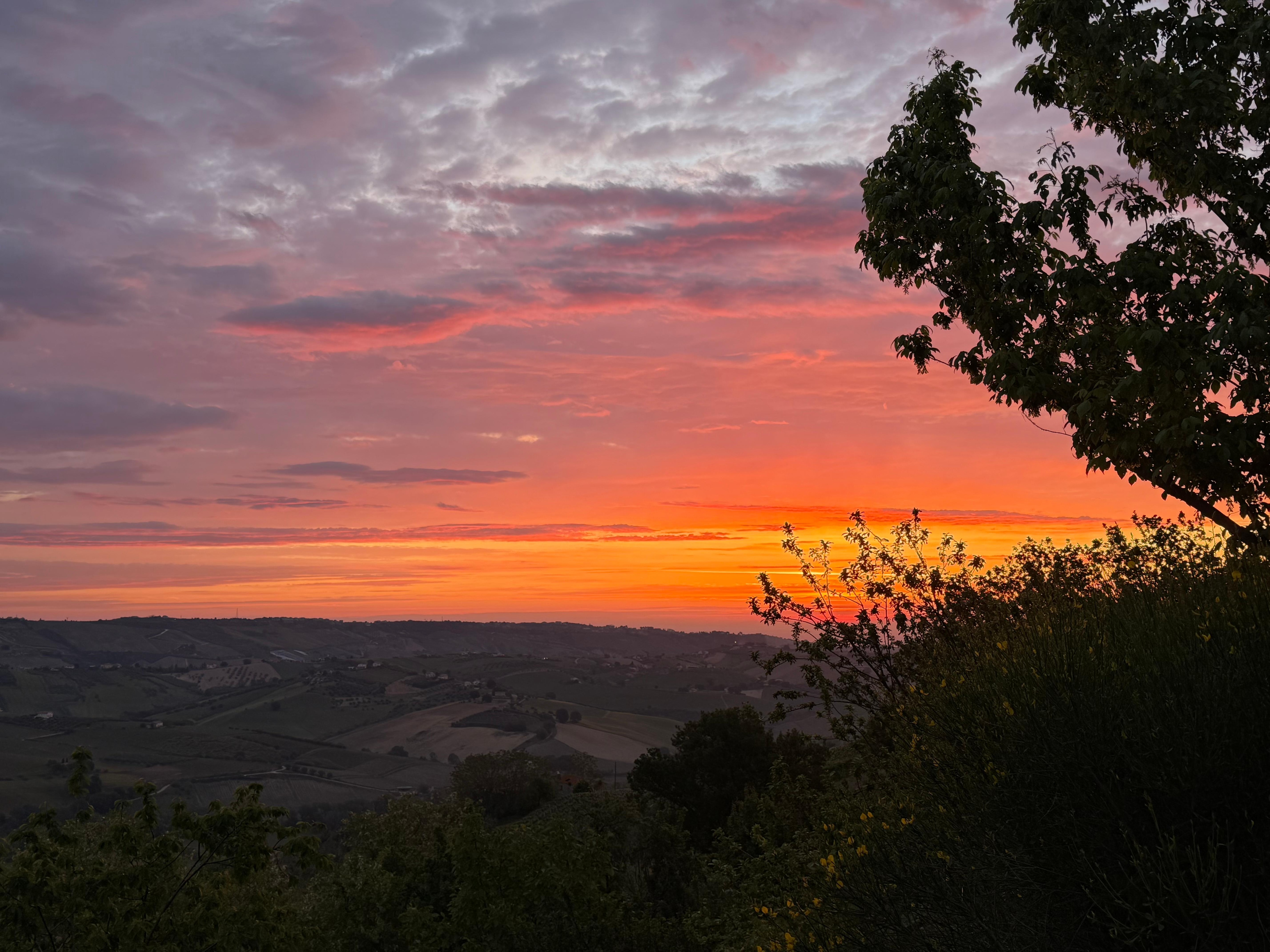 The sunset