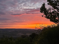 The sunset