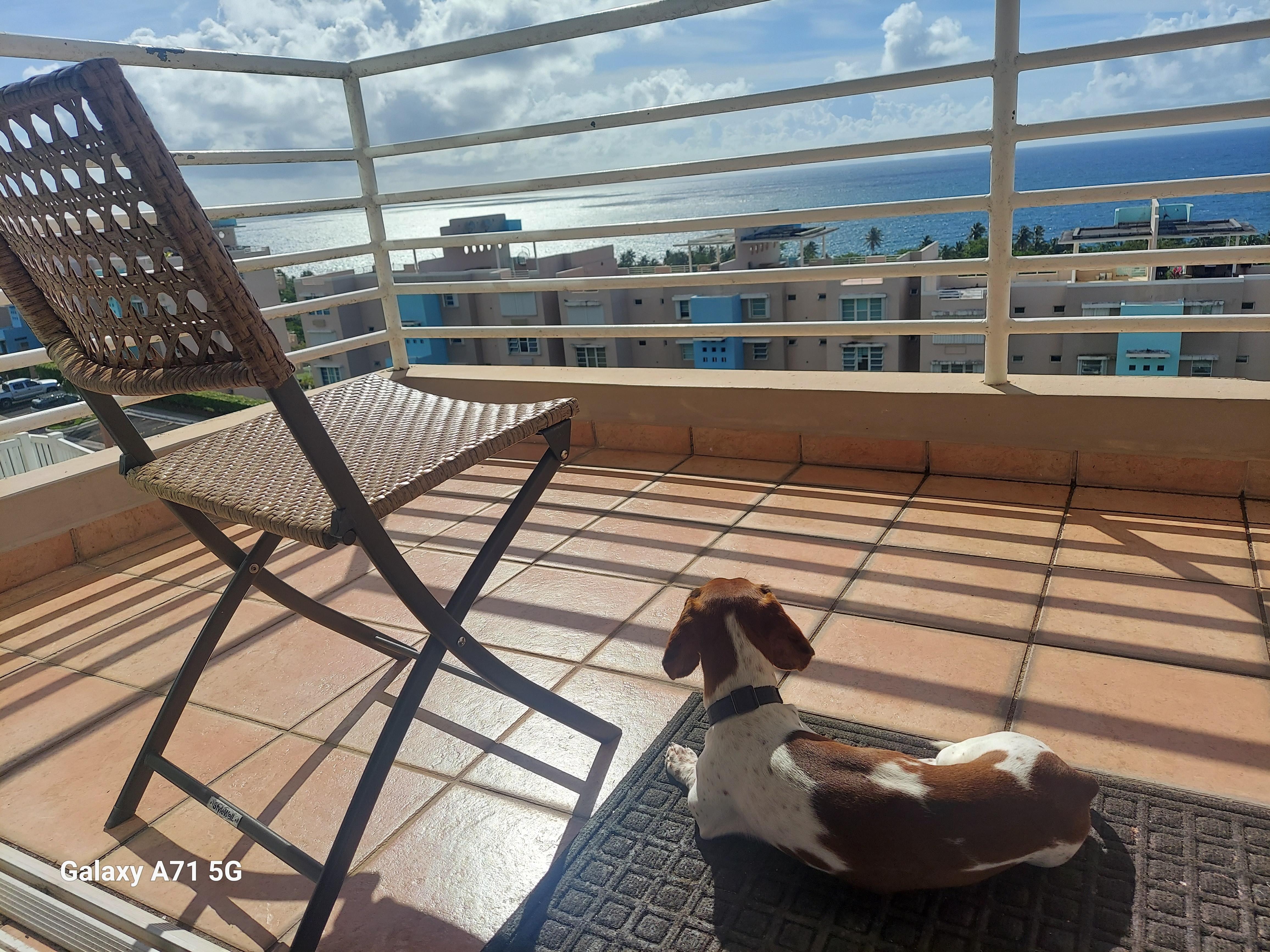 Kylo also relaxed during the stay