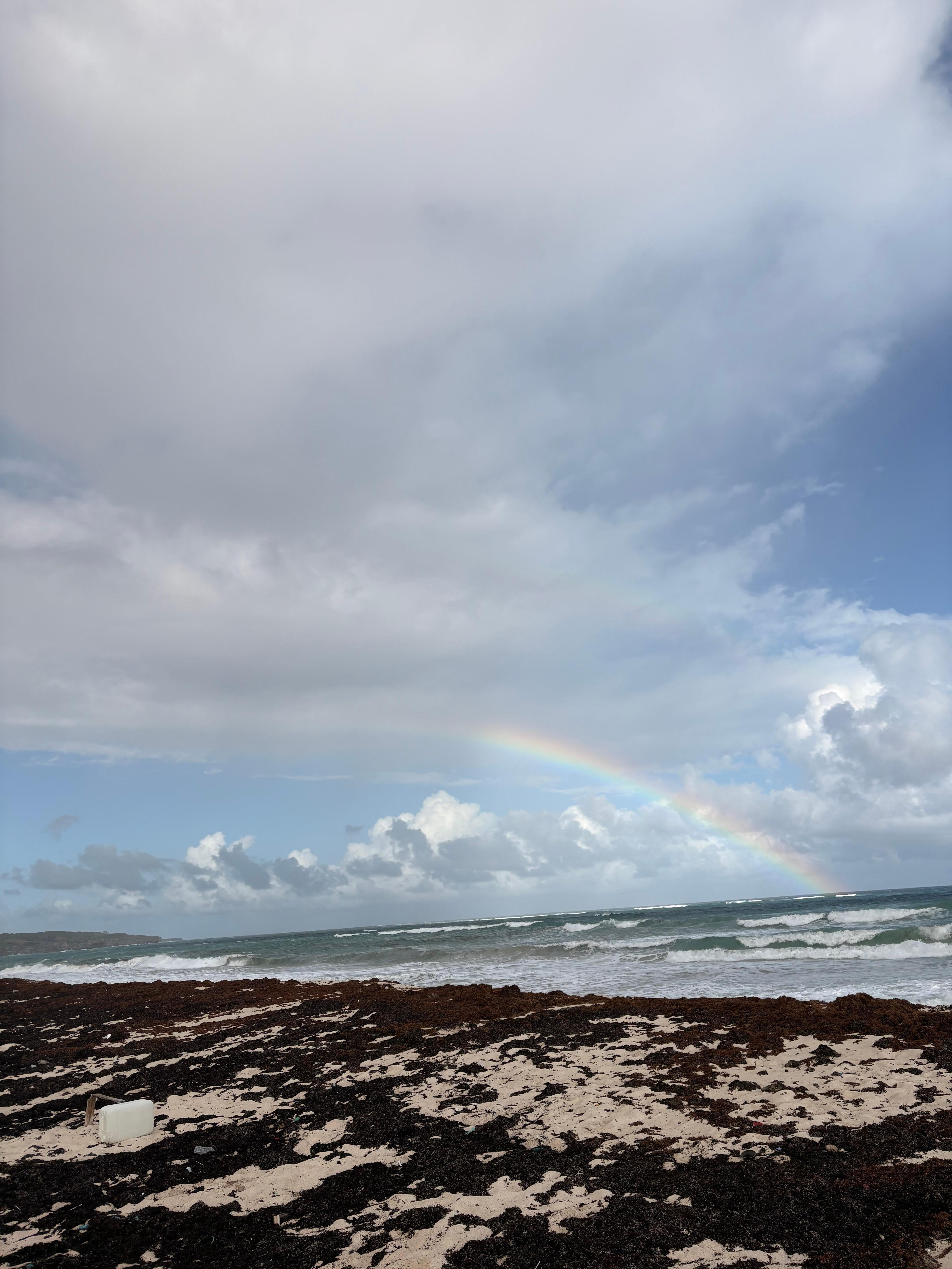 Ocean 50 yards from property 