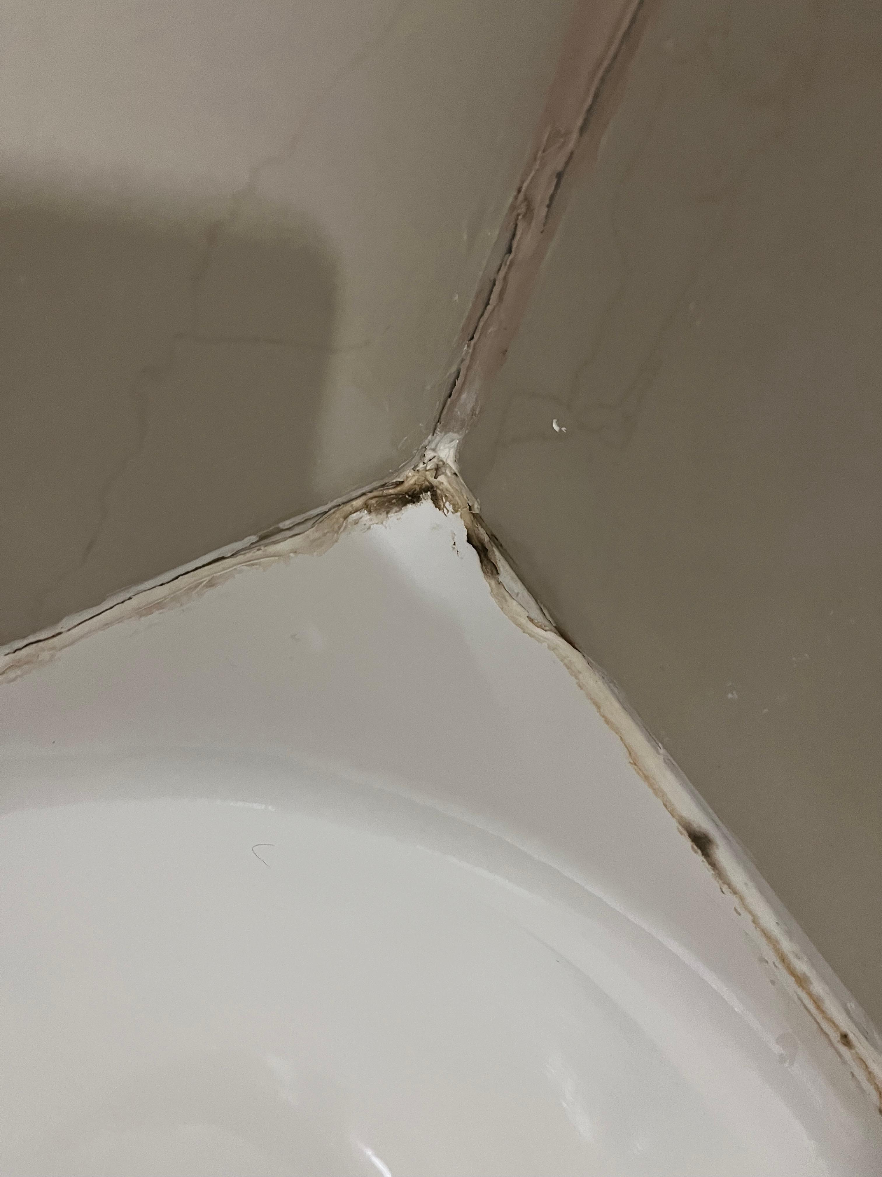 Mold in bath tub