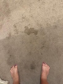 Dirty carpet in all bedrooms.