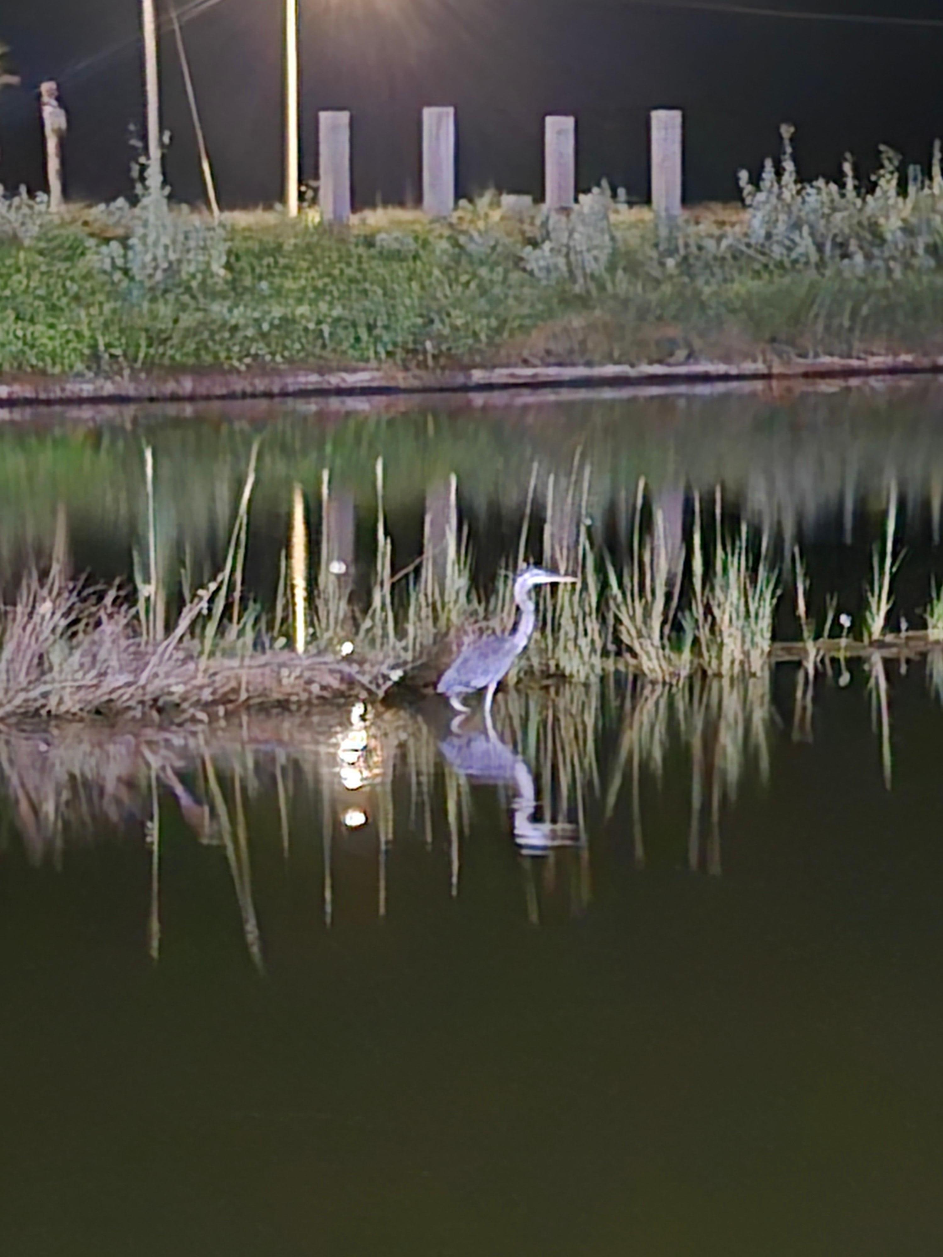 Cool little pond you can fish at 