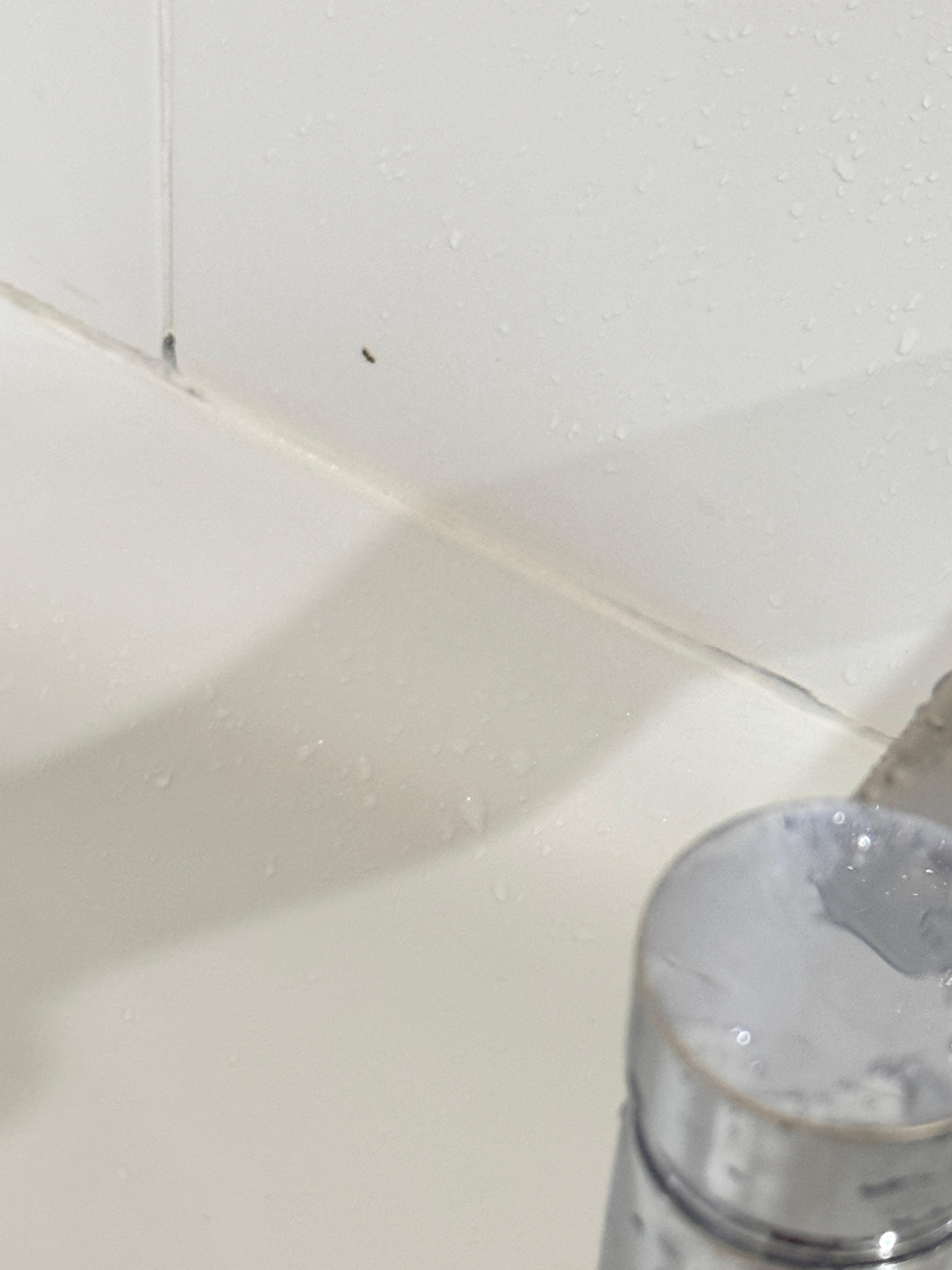 In the tube, I have videos but cannot upload. 