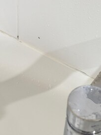 In the tube, I have videos but cannot upload.