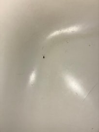 Found this little guy in the tub of the second room