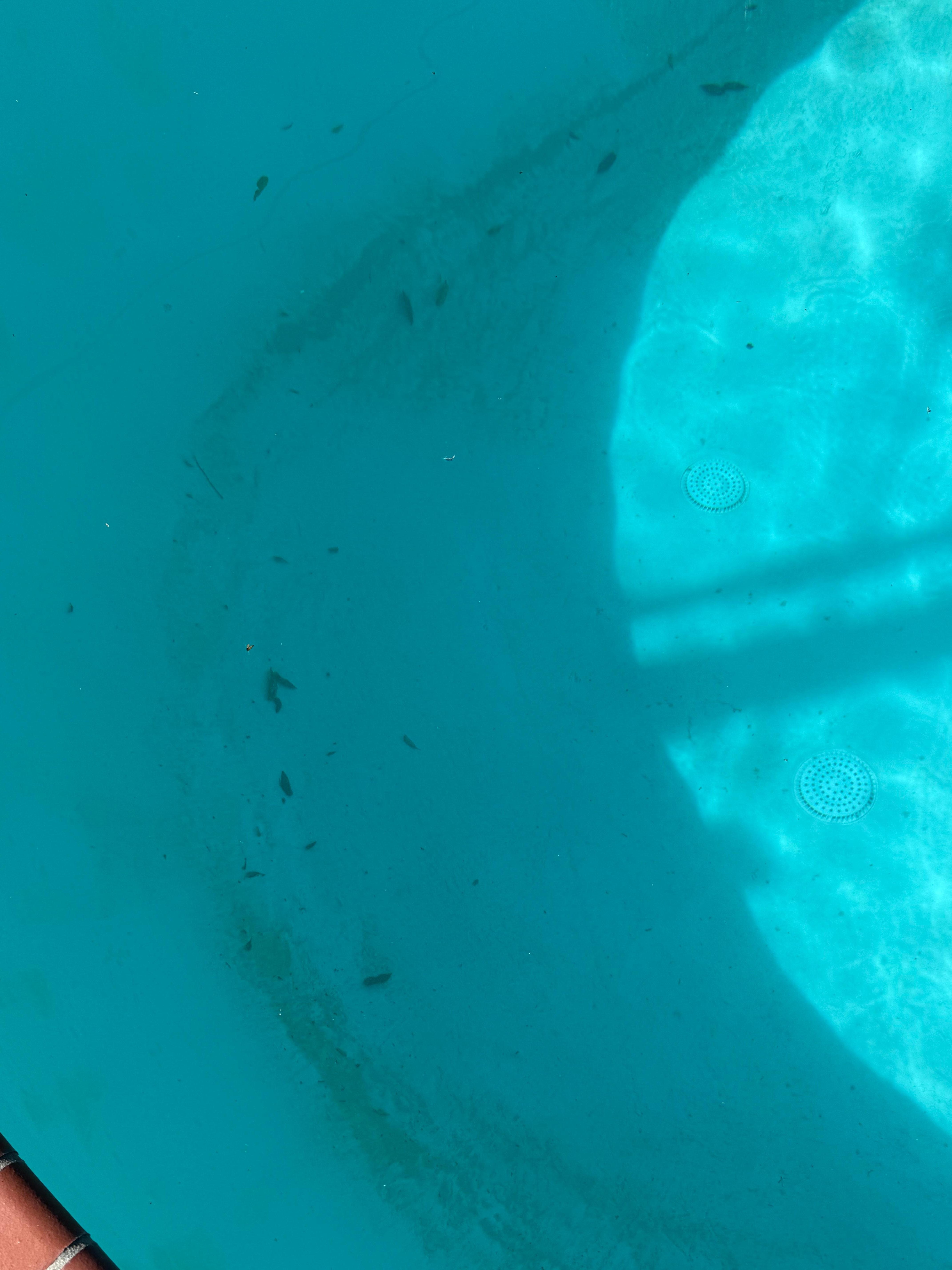 Dirty pool after Tuesday’s cleaning.